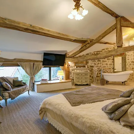 De Charme Avec Piscine, Et Sauna, 5 Chambres, Jardin Prive Et Equipements Modernes - Fr-1-496-311 * Lure (Loire)